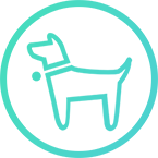 simcam1s-icon4.png
